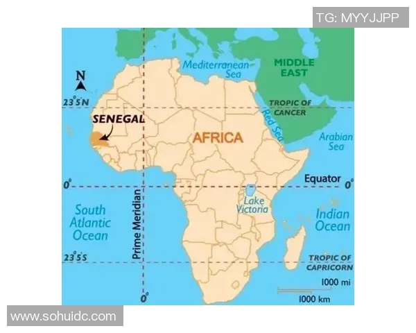 韩国与塞内加尔足球对决直播信息及赛事分析详解