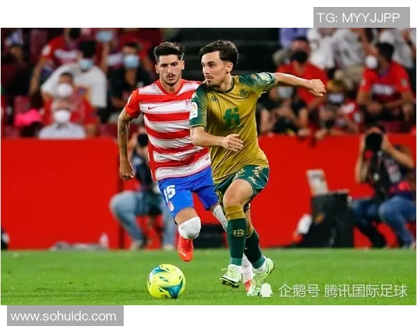 罗德里：从青训新星到世界顶级中场的蜕变之路