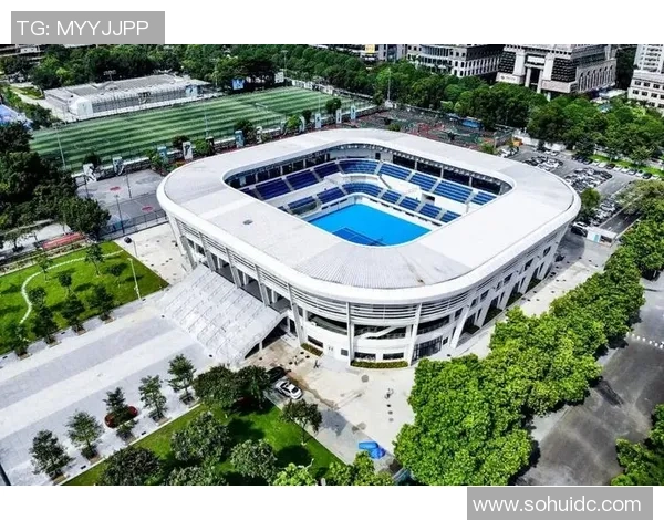 广州网球队的转换体系与网球战术的创新探索与实践分析MBA 广州网球队的转换体系与网球战术的创新探索与实践分析MBA