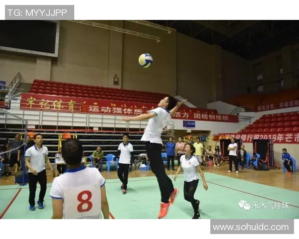 成都排球队排球意识创新高引领全国水平提升新纪元