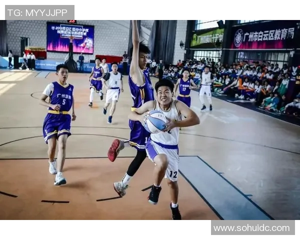 广州篮球队战术分析与表现评估全景解读