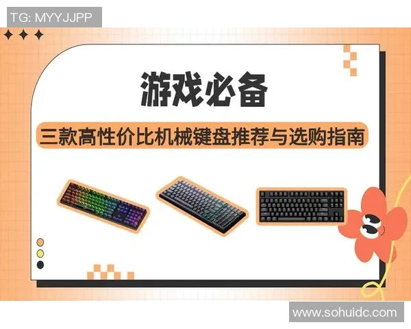 和平精英装备选购指南：最适合游戏的键盘推荐与使用技巧分享