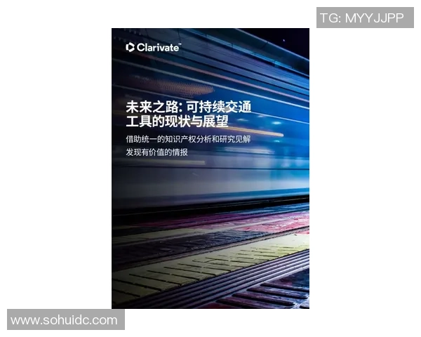 杭州攀岩队的转型之路与挑战分析及未来发展展望